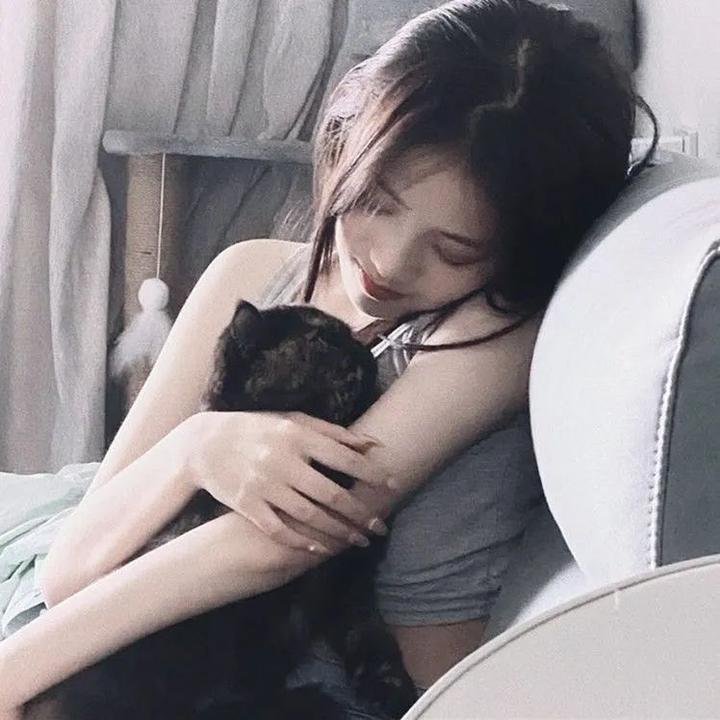 非洲孤狼